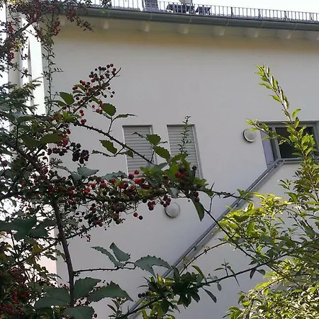 Petite Bellevue II Appartement Baden-Baden Buitenkant foto