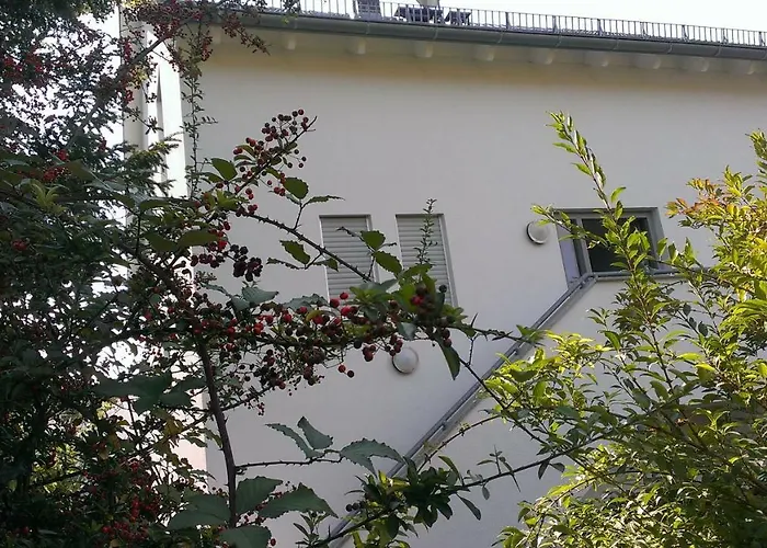 Petite Bellevue II