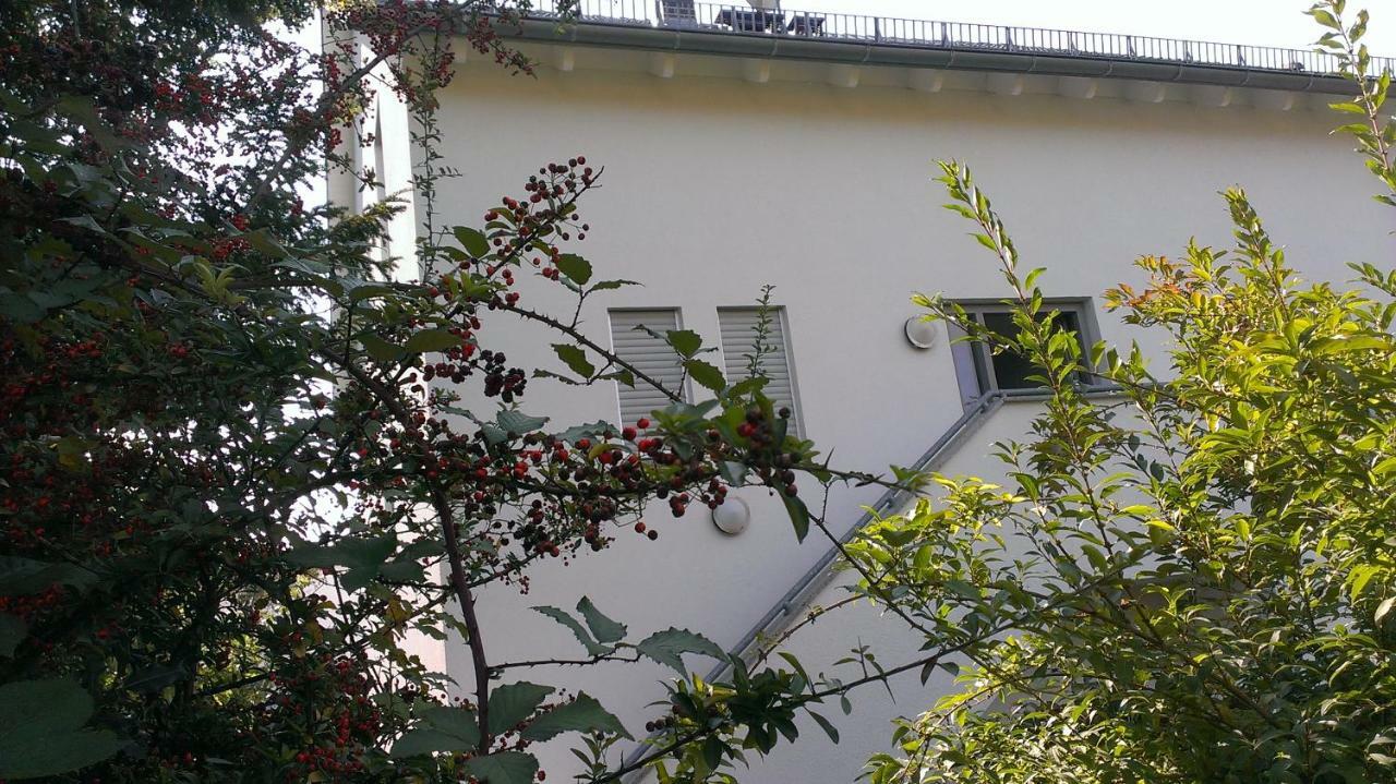 Accommodatie bij particulieren Petite Bellevue Ii Baden-Baden